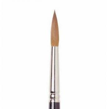 R/Brush Series 8404 Size 12