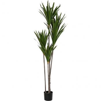 Planta Decorativa DKD Home Decor (80 x 80 x 180 cm)