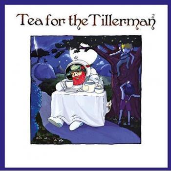 Tea for the tillerman 2 lp vinilo