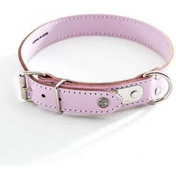 Collar acolchado para perro con placa Martin Sellier