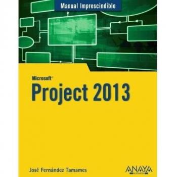 Project 2013