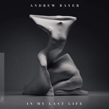 Andrew Bayer - In My Last Life (Vinyl LP)