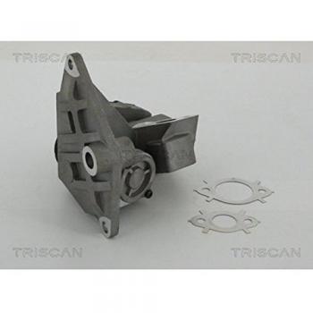 Válvula EGR Eléctrica TRISCAN 8813 29047 con Joints para Volkswagen Golf 5, Touran I, Golf Plus/Crossgolf