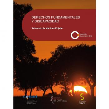 Derechos fundamentales y discapacidad: 14