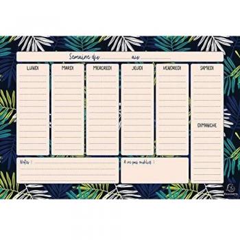 Exacompta – 1 bloque encolado en cabeza Hebdo Planner Color Design – 26,5 x 18 cm