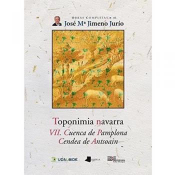 Toponimia Navarra. VII. Cuenca de Pamplona. Cendea de Antsoain: 46