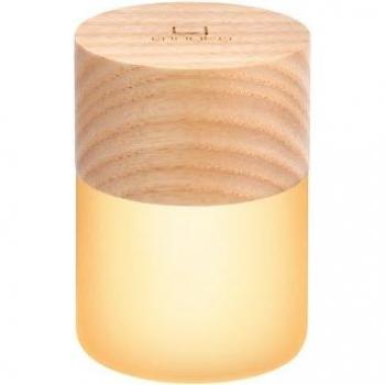 Lemelia Gingko Design RGB Night Lamp - Ash Color, Rechargeable Battery, Color Changing Lights