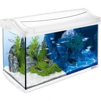 Tetra AquaArt Discovery Line Acuario 60 litros