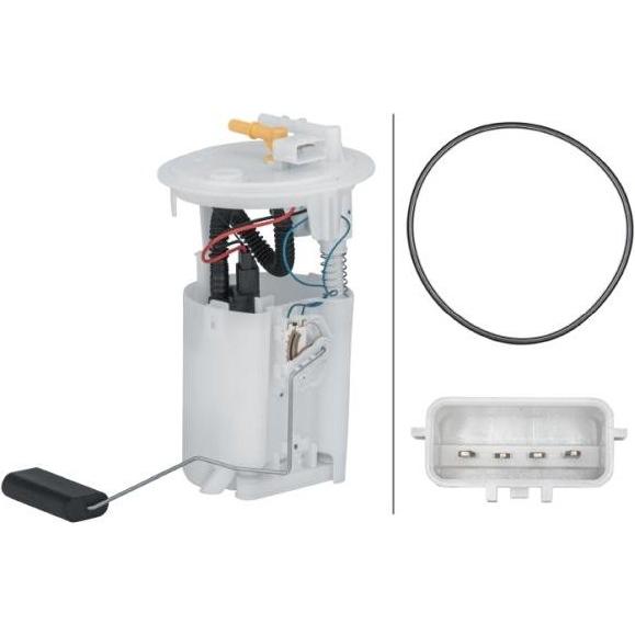 Imagen Principal