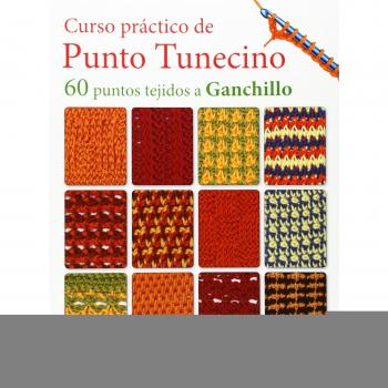 Curso Práctico De Punto Tunecino