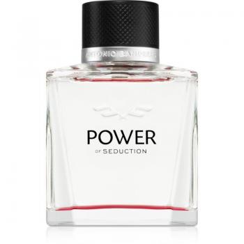 Banderas Power of Seduction Eau de Toilette for Men 100 ml