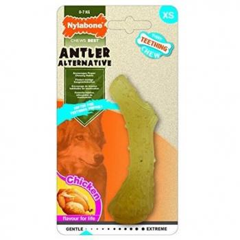 Nylabone Cachorro Antler Perro Chew