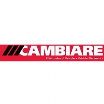 Cambiare Knock Sensor - VE369050
