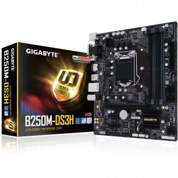 Placa Base Gigabyte B250M-DS3H