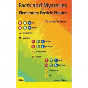 Facts And Mysteries In Elementary Particle Physics