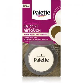 Palette Compact Root Retouch Dark Blonde Temporary Hair Color Corrector 3g