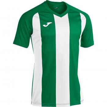 Joma Men's Short Sleeve T-Shirt Pisa II Green White