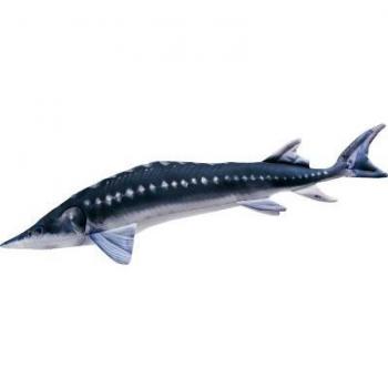 Almohada Gigante de Esturión Europeo 125 cm Gaby