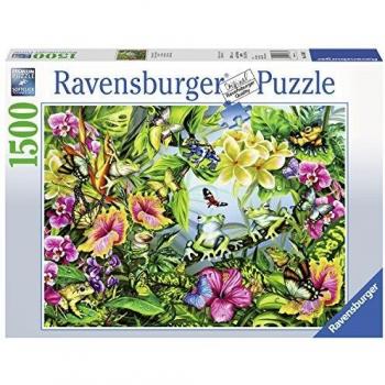 Ravensburger - Busca las ranas