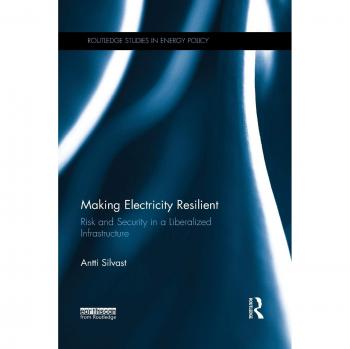 Making Electricity Resilient: Risk and Security in a Liberalized Infrastructure