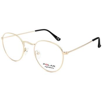 Polar MICHIGAN 02 Armazones para Hombre Dorados con Lentes Recetadas