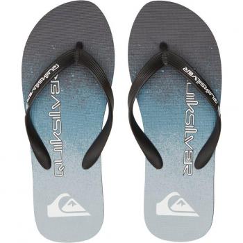 Chanclas de hombre Quiksilver Molokai Art Beach gris azul - 45