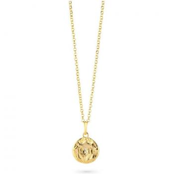 Collar Radiant Wish de Plata Dorado