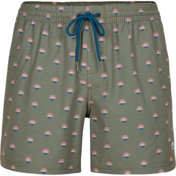 O'Neill Mini Print Men's Swim Shorts