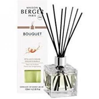 Lampe Berger Room Fragrance, Pétillance Exquise/Sparkling Like Champagne, 9.5 cm