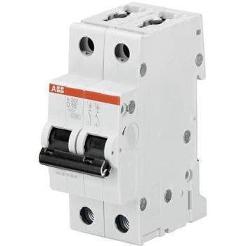 Interruptor Automático Bipolar 2P Curva D 16A 10 kA Montaje en Carril DIN
