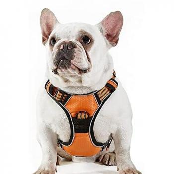 Lesure Arnés Perro Antitirones Mediano - Arnés Pecho Perro Ajustable y Transpirable con Líneas Reflectantes, Chaleco Perro Antiescape para Adiestramiento, Pechera Perro Cómodo, Naranja, M