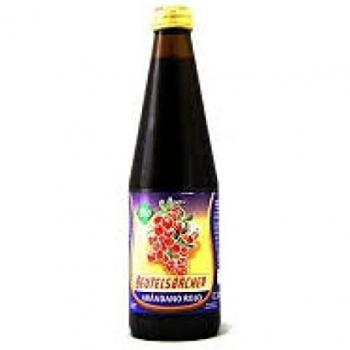 IJSALUT - Zumo Arandano Negro Eco Beutel Cal Valls 0.33L