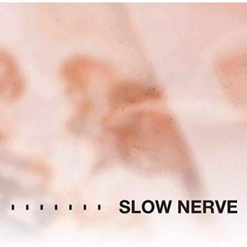 Slow Nerve