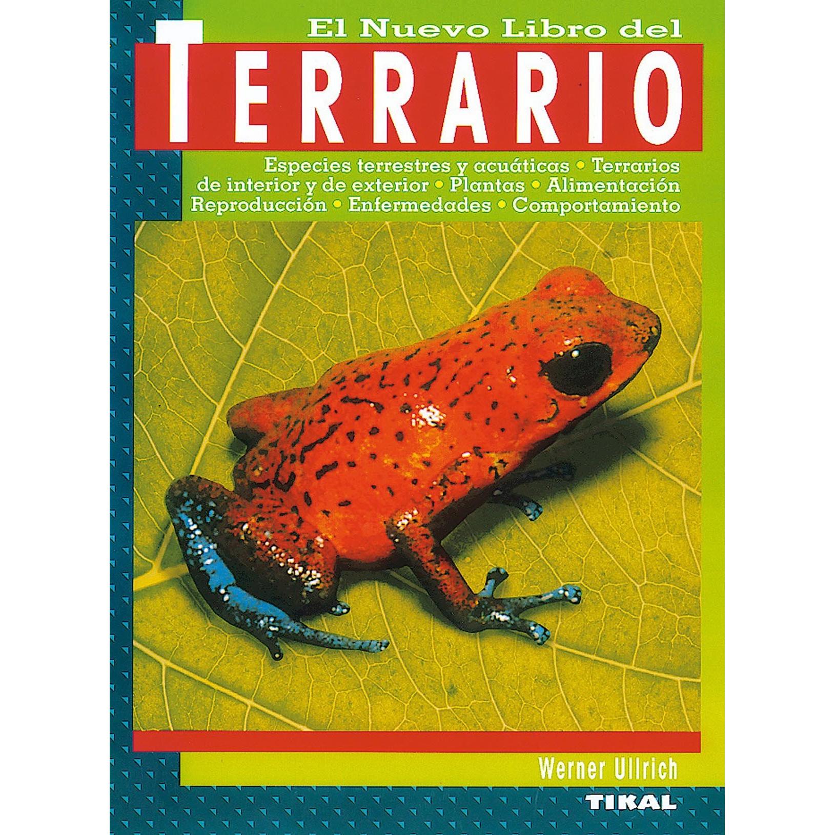 Imagen Principal