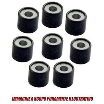 Rodillos Variadores Polini 25x14,8mm 13gr - Juego de 8 piezas