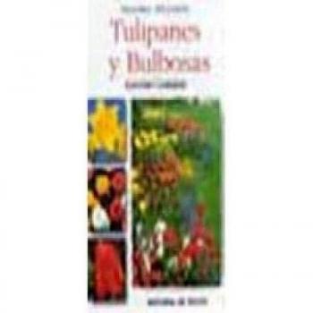 Tulipanes bulbosas - eleccion cuidados -