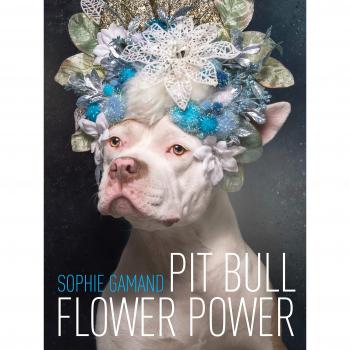 Pit Bull Flower Power
