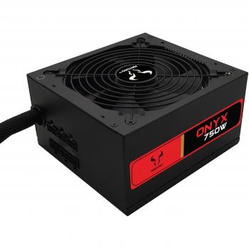 Riotoro PR-BA0750-SM-EU - Fuente de alimentación, Color Negro