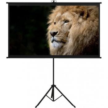 vidaXL Projection Screen with Tripod 72 4:3
