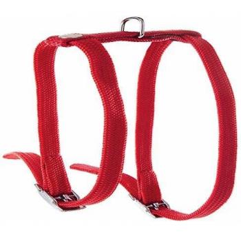Arnés de nylon para gato Martin Sellier Tub con collar y correa para pasear