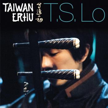 Taiwan Erhu