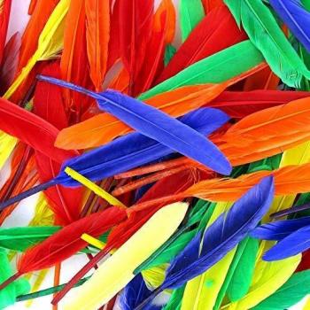 Plumas Indias Multicolores 7 a 15 cm - Paquete de 120 piezas