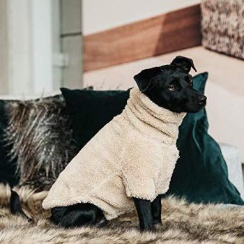 Suéter para perro Kentucky Teddy Fleece Beige XXS