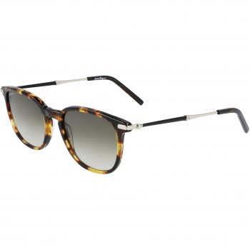 Salvatore Ferragamo Sf1015S Sunglasses, Brown, Male, Size: 52 MM