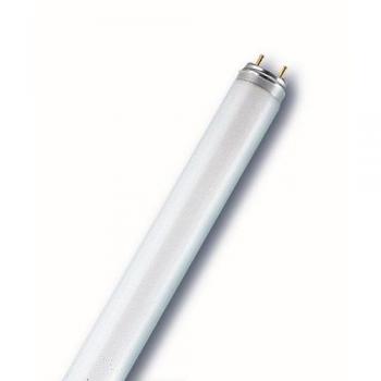 Osram T8 de colores - Lámpara fluorescente, G13L 36 W/60