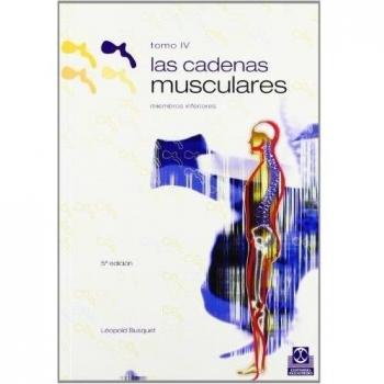 CADENAS MUSCULARES, LAS