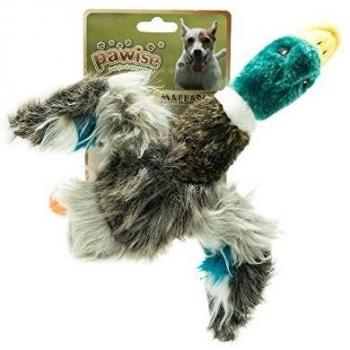 ALL FOR PAWS PAW15088 Peluche de Pato para Perros Pawise