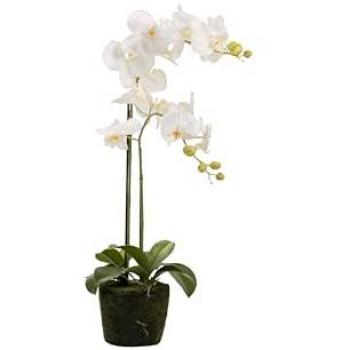 Espejo Orquídea de Poliéster Blanco con Maceta 34x34x71 cm - Complemento Perfecto para el Hogar