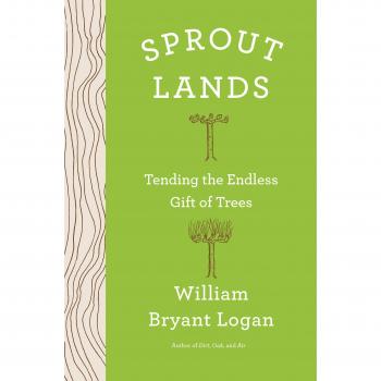 Sprout Lands: Tending the Endless Gift of Trees