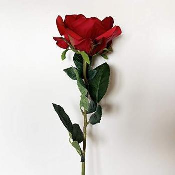 Wellhome Ramo de Rosa con Tacto Natural Flor de Ø11 cm en Color Blanco, Roja 69 Cm, Unitario